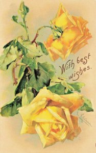 Artist Signed C. Klein Greetings On Your Birthday Yellow Flowers Postcard