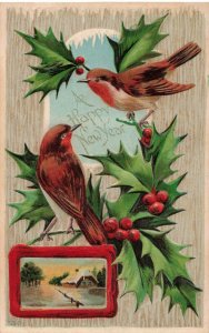 A Happy New Year Birds on Holly Berry Branches Embossed John Winsch Postcard