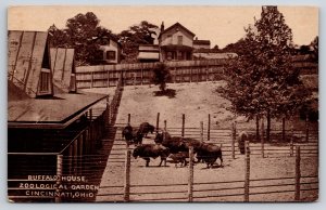 Cincinnati Ohio~Zoological Garden Buffalo House~Bison in Pens~c1910 B&W