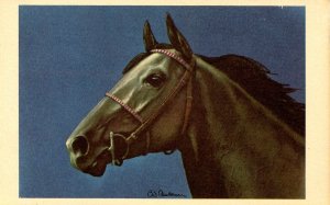 Horse - Artist: Anderson