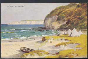 Dorset Postcard - The Sands, Studland   DC2180