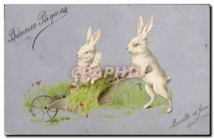 Old Postcard Bunny Rabbits