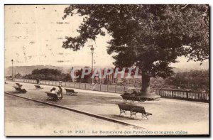Old Postcard The Pau Pyrenees Boulevard and Gros Chene