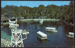 4120) Florida SILVER SPRINGS Glass Bottomed Boats Crystal Clear Water - Chrome