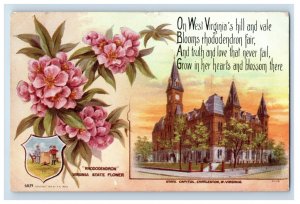 C. 1900-10 Charlston West Virginia Capital Flower Postcard F147E