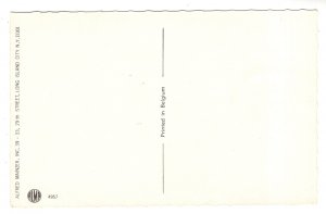 Dressed Cats Pillow Fight, Alfred Mainzer 4957