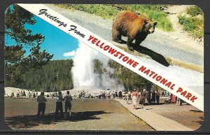 Wyoming, Yellowstone - Greetings From - [WY-073]