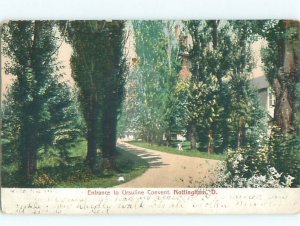 Pre-1907 CONVENT DRIVEWAY Nottingham In Euclid by East Cleveland OH AD8675