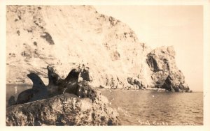 Seal Rocks Catalina Island Popular Attraction RPPC Photo Vintage Postcard
