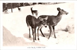 RPPC, South Gillies Ontario Canada DEER~HIGH FALLS~PIGEON RIVER ca1940s Postcard