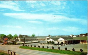 Hopkinsville, KY Kentucky  JEFF DAVIS MOTEL Roadside~US 41  ca1960's Postcard