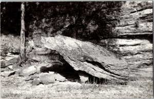 RPPC Giant Turtle Rock Formation Lower Dells Wisconsin WI Vintage Postcard E09