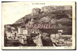 Old Postcard The Monaco palsis the montee and Dog Tete