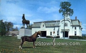 University of Vermont, Morgan Horse Farm - Weybridge Postcard