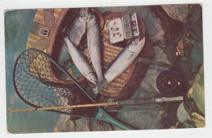 P2420, vintage postcard trout fly rod reel fly,s creel etc unused