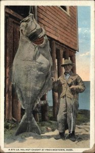 Provincetown Massachusetts MA Cape Cod Halibut Fish Fishing Vintage Postcard