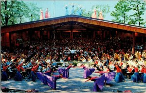 National Music Camp Les Preludes Concert Dance Crowd Laterlochen PM Postcard VTG 