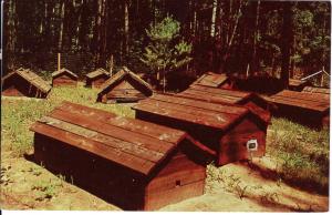 US    PC1376  INDIAN BURIAL GROUNDS, CHIPPAWA NATIONAL FOREST