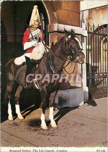 'Modern Postcard Sentinel''s Horse Belonging to the House Guard of the Queen ...