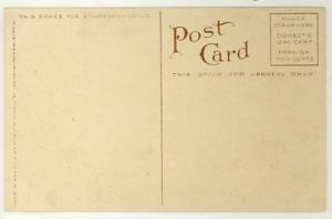 YELLOWSTON NATIONAL PARK c1915 TEA KETTLE WY Postcard