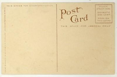 YELLOWSTON NATIONAL PARK c1915 TEA KETTLE WY Postcard