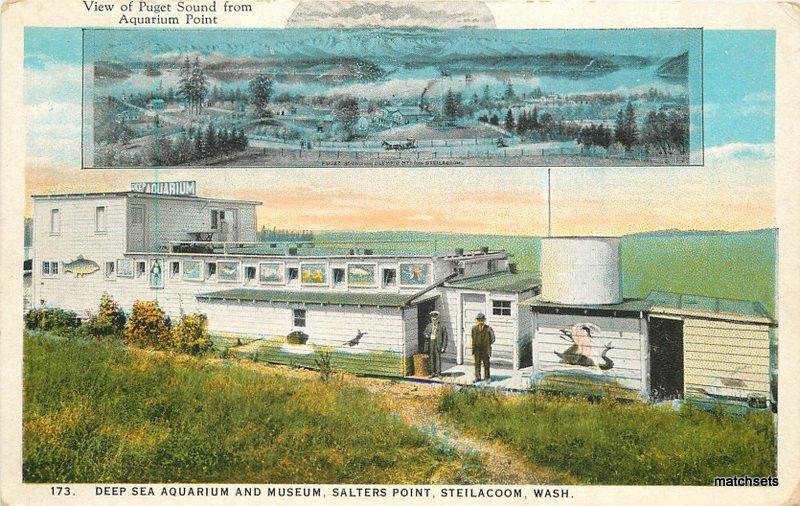 1920s Steilacoom Washington Deep Sea Aquarium Museum Teich postcard 11745