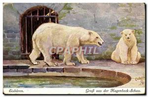 Old Postcard Polar Bears Eisbaren