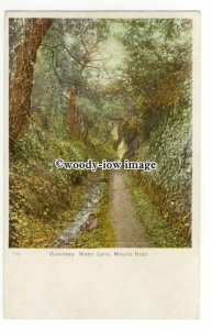 tq2722 - Guernsey - Early View,Tree Cover on Water Lane, Moulin Huit - Postcard 