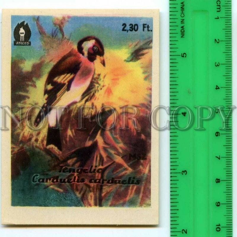 500282 HUNGARY Bird Carduelis Carduelis Vintage match label