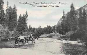 Columbus Montana Fording the Stillwater River Vintage Postcard AA7783