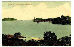 Singapore China New Harbour Entrance Postcard