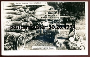 h3933 - CANADA 1940s Exaggeration Corn & Pig Farming. Real Photo Postcard