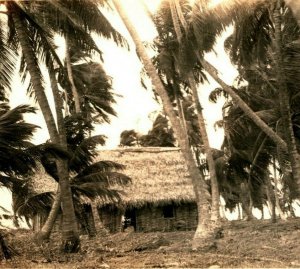 RPPC Aldea De Corozal Honduras Grass Hut Palm Trees UNP Postcard
