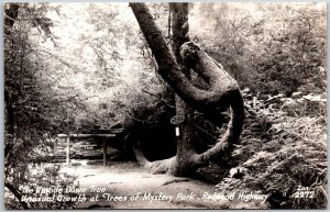 Upside-Down Tree Mystery Park Redwood Hwy California CA Real Photo RPPC Postcard