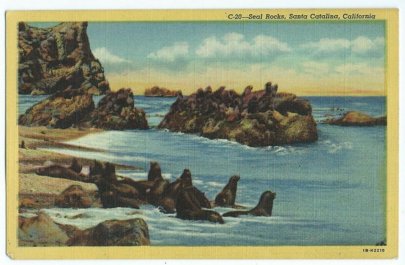 Seal Rocks CA Santa Catalina Water Waves Sunlight Vintage Postcard VPC1.