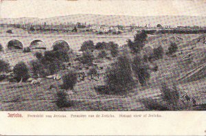 Postcard Distant View of Jericho Israel