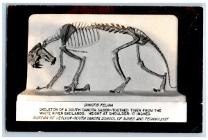 Rapid City SD Postcard RPPC Photo Dinictis Felina Skeleton Saber Toothed Tiger