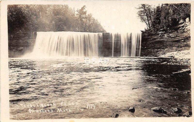 C35/ Newberry Michigan Mi Real Photo RPPC Postcard c20s Tahquamenon Falls