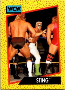 1991 WCW Wrestling Card Sting sk2113