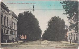 Ohio Postcard c1910 NAPOLEON Clinton Street West Shaff Pub. Buildings