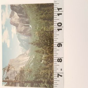 Yosemite National Park Mirror Lake Vintage Postcard