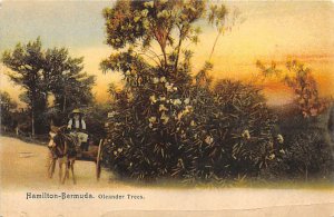 Oleander Trees Bermuda 1985 