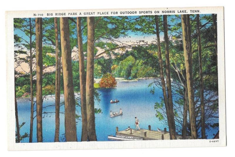 TN Big Ridge Park Norris Lake Tennessee Vntg Linen Postcard