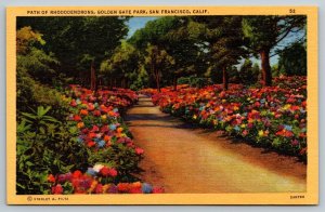 Vintage San Francisco California Postcard - Golden Gate Park