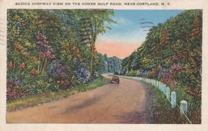 Homer Gulf Road Scenic View Homer Cortland County NY New York - pm 1939 - Linen