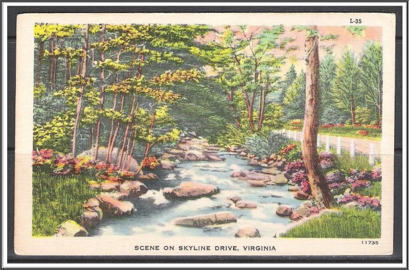Virginia, Skyland Scene On Skyline Drive - [VA-163]