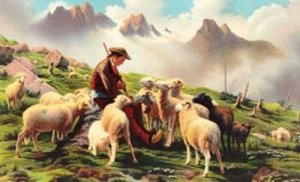 Rosa Bonheur A Pyrenese Shepherd Flock Of Sheep Art Painting Postcard