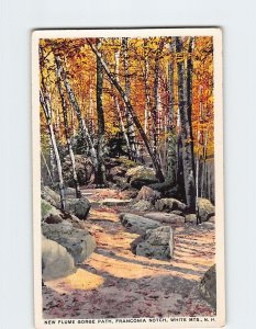 Postcard New Flume Gorge Path, Franconia Notch, White Mountains, New Hampshire