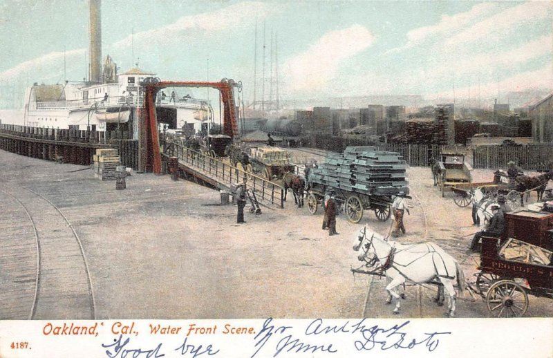 WATER FRONT SCENE OAKLAND CALIFORNIA SHIP HORSES PCK POSTCARD (c. 1907)