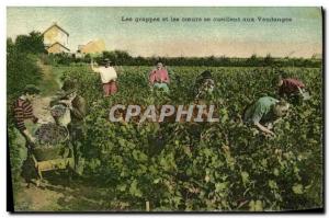 Old Postcard Wine Harvest Clusters and hearts gather the harvest